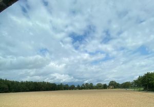 Blick auf das Feld und den Himmel von Haus Willbrok mit Bäumen am Horizont.